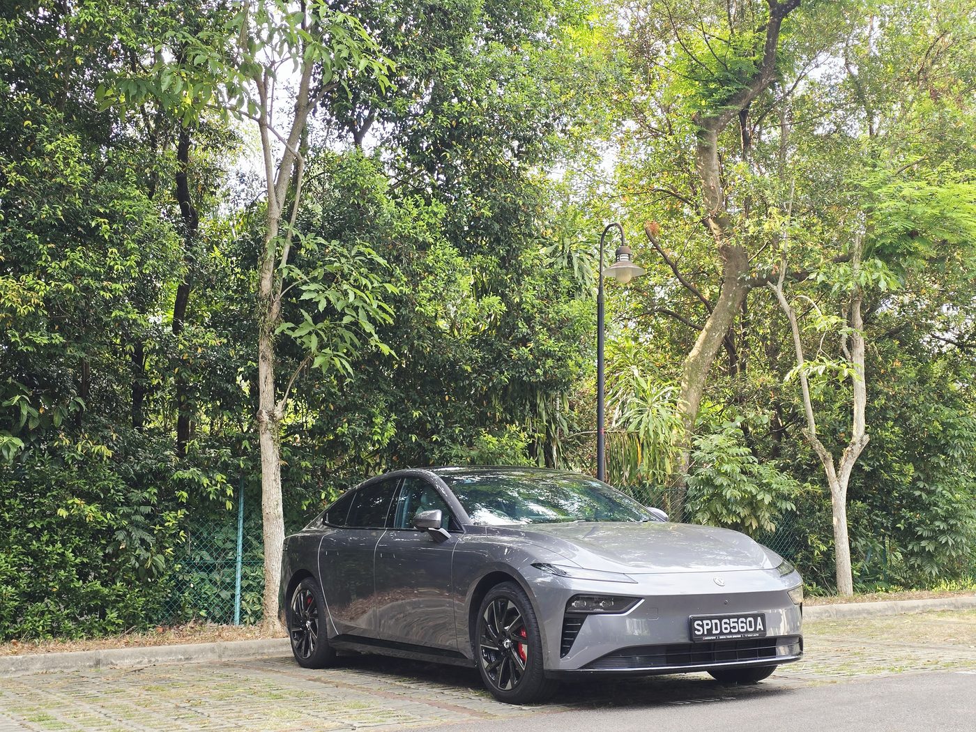 Dongfeng 007 Premium in Eclipse Grey, front three-quarter view parked against greenery in Singapore