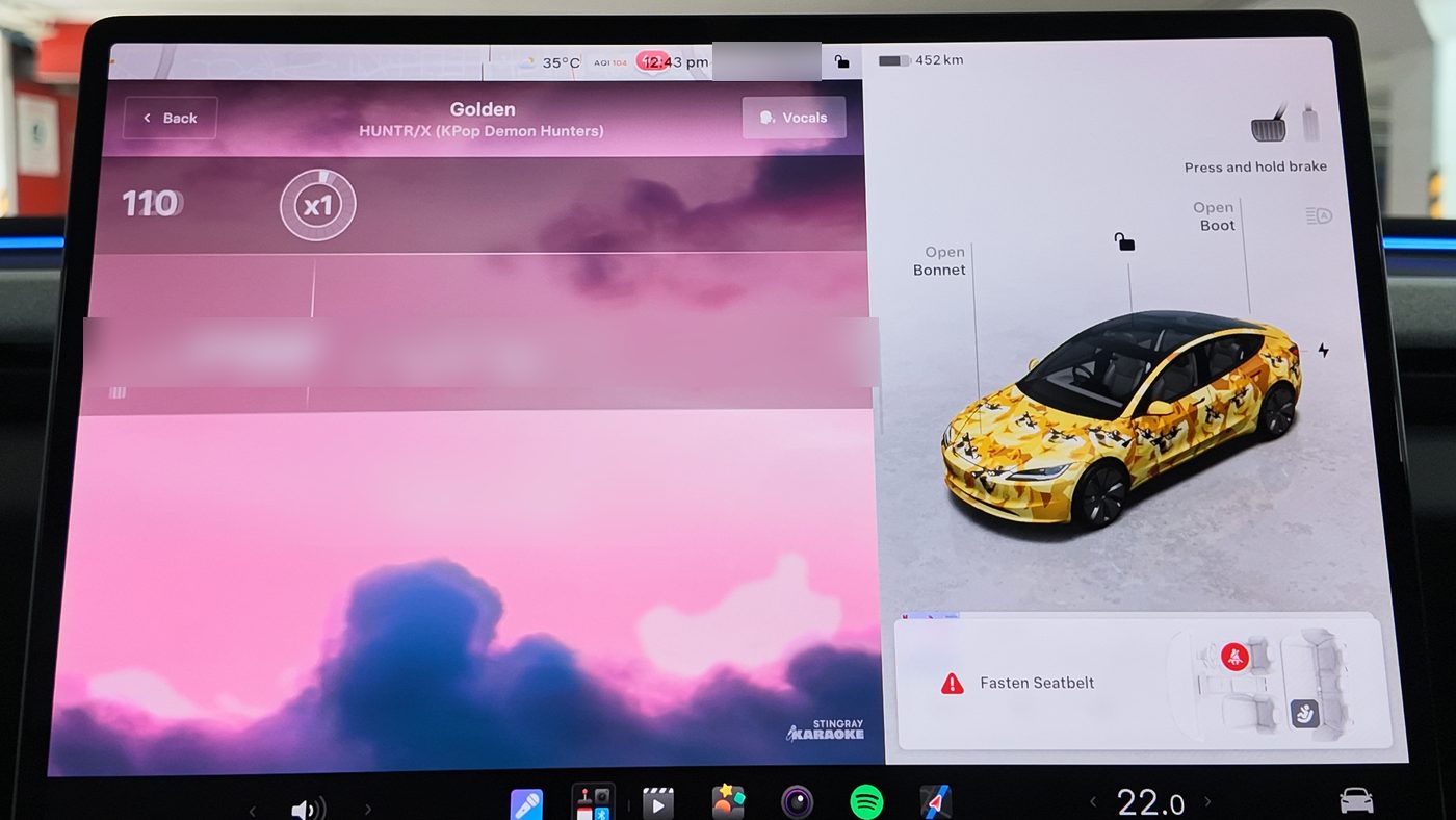 Tesla Model 3 centre screen running Caraoke next to the car avatar in a Doge wrap